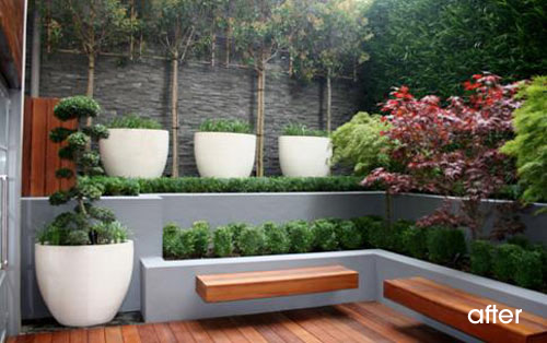 Modern Garden | The Modern Home